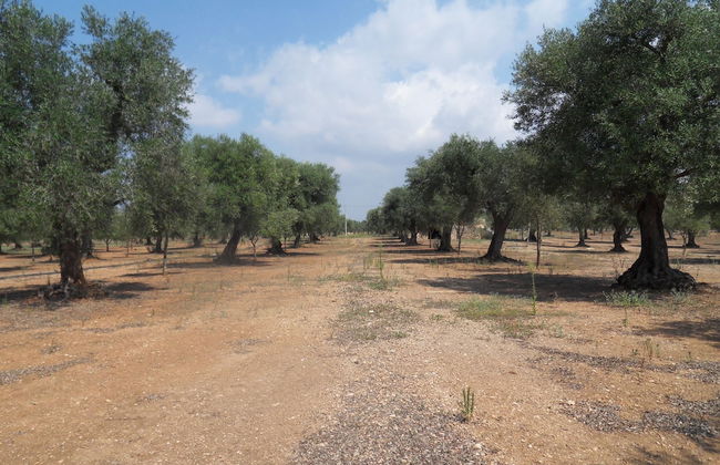 Dimore del Roseto - Foto 43