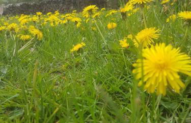 in die Ferien mit 16 Freunden - Foto 65