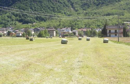 Agriturismo Al Palaz - Foto 67