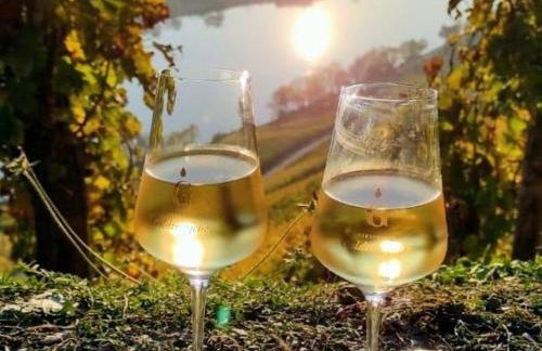 Ferienwohnung mit Blick auf die Moselloreley - Foto 17