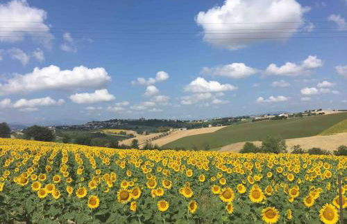 Casa San Pietro, restored farmhouse with pool - Foto 35