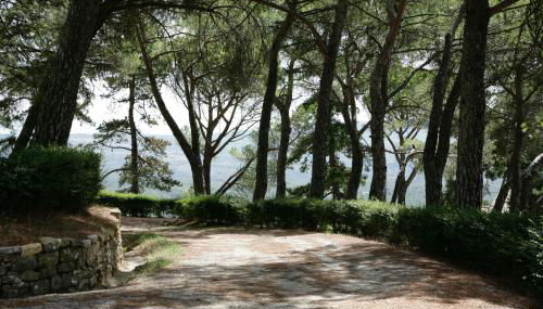 Casa Storica In Un Borgo Vicino A Orvieto - Foto 2