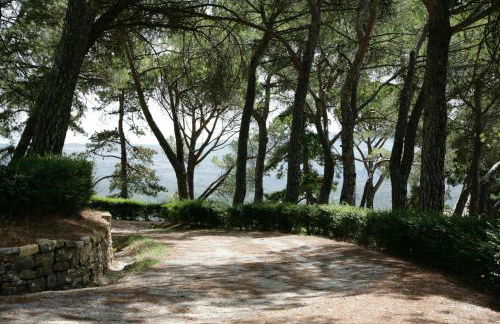 Historic Home In Medieval Town Near Orvieto - Foto 13