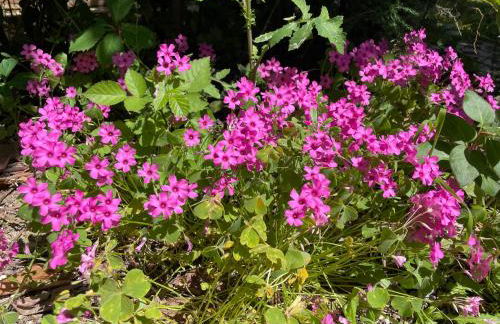 GArt House Holiday Home - Foto 23