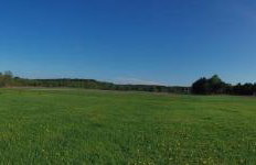 Siedlisko Magnolia - Foto 63