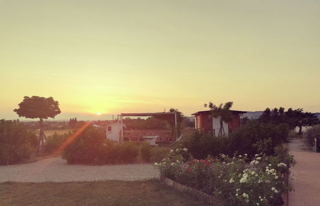 Masseria Fontana dei Fieri - Foto 46