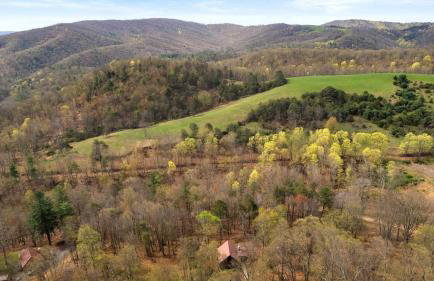 Vibrant Woodland Cabin Sanctuary near Great Cacapon River in West Virginia - Foto 45