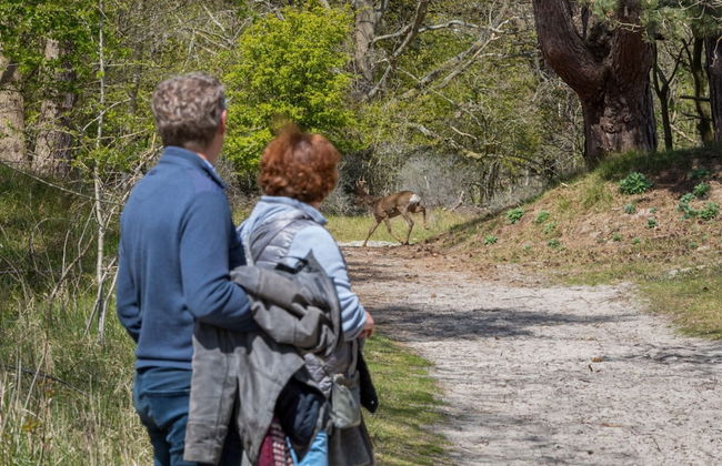 Holiday Home in Renesse Near the Beach - Photo 17