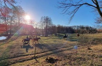 JZ Guest Ranch - Foto 18