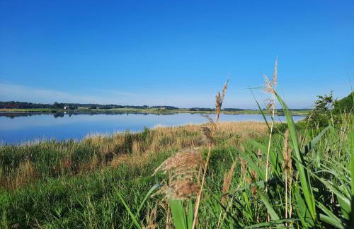 Apartamenty Sielanka - Foto 38