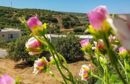 Irina's House - Foto 36