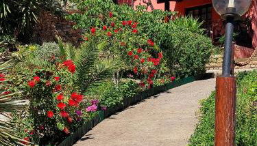 Villetta Blu - Photo 3, Garden