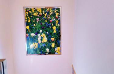 Casas rurales en Fanlo y Valle Vio - Foto 40