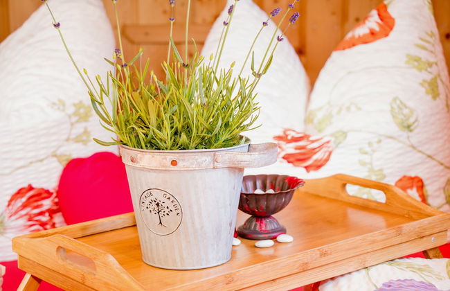 Ferienparadies Reifnhof - Foto 33