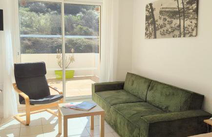 Terrasse vue mer- Face aux falaises et au GR34 - Foto 28