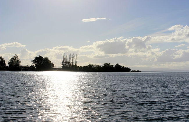 Brams Bach - Photo 31