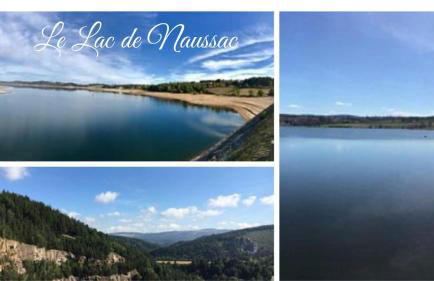 Independent F2 pool sauna garden - Foto 28