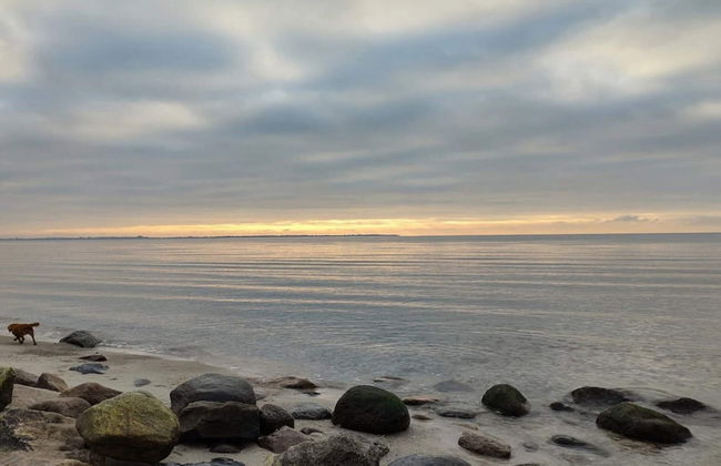 4 Person Holiday Home in Store Fuglede - Foto 52