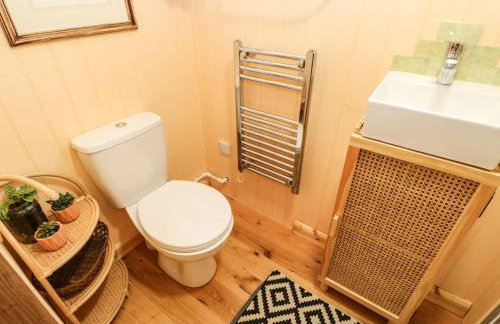 Bracken Fern - Photo 14