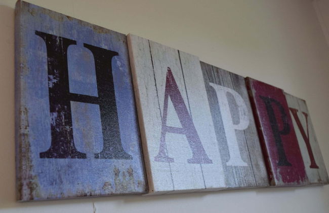 Bungalow in Netherlands With Garden Terrace - Photo 8