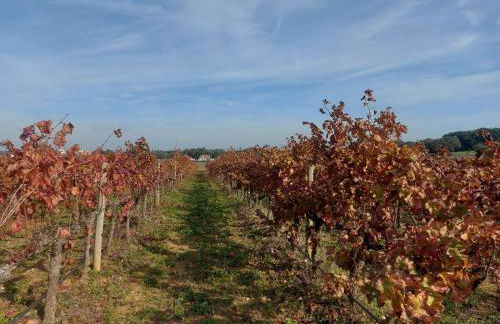 Quinta do Mocho by Portus Alacer - Photo 17