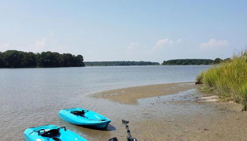 Centreville Waterfront Farm - 170 Acres - Pool - Private Dock - Private Beach - Foto 4