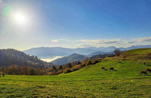 Ventron Chalet with Hill Views - Foto 41