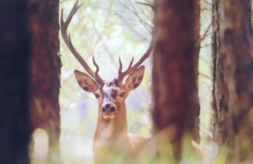 Em Xisto - Casas de Montanha - Casa Xisto Nascente - Foto 19