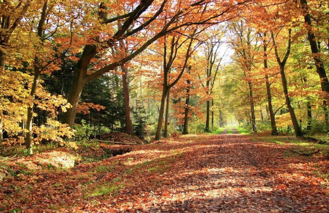 Holiday Home in Holten Near Lake Ijssel - Foto 34