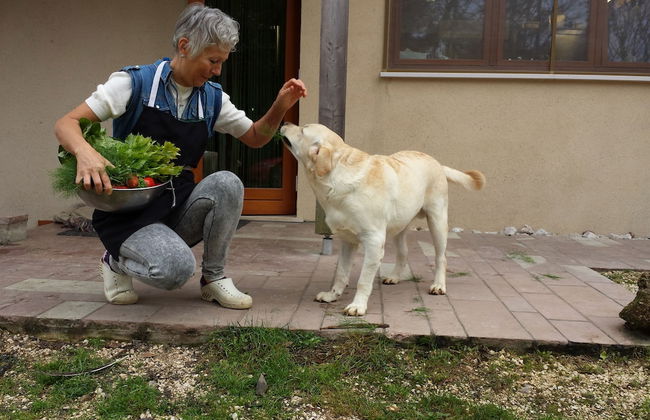 Campo di Cielo - Foto 71