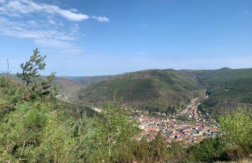 Dicker Stein - Foto 31