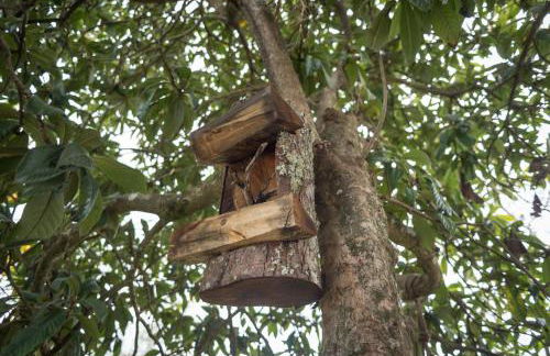 Casa De Santo Antão - Turismo Rural - Foto 24