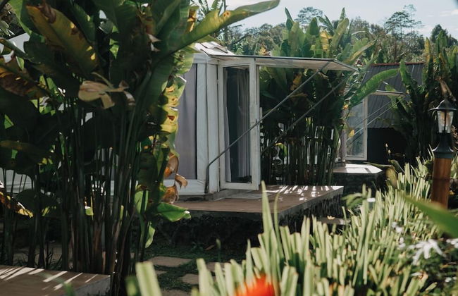 Alam Kita Glamping & Plantation - Foto 28