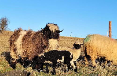 3 Bed in St. Andrews oc-88420 - Foto 24