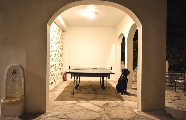 Villa Gaia Syros 1800 s Stone Building - Foto 15