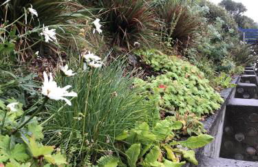 Easterhoull Chalets - Foto 86