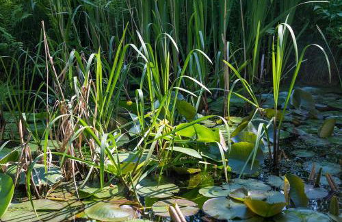 Idyllisches Apartment am Berliner Stadtrand - Foto 6