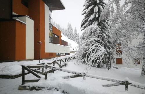 Luce Delle Dolomiti con navetta e sala giochi - Foto 1