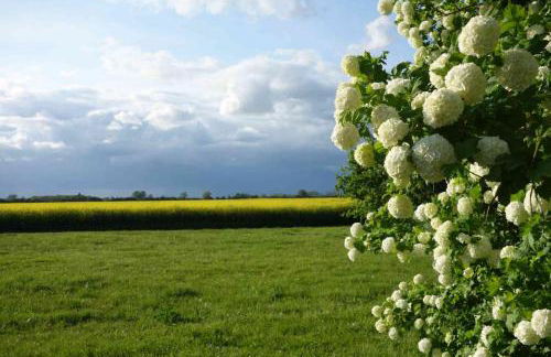 Fachwerkhaus am Fluss - Foto 47