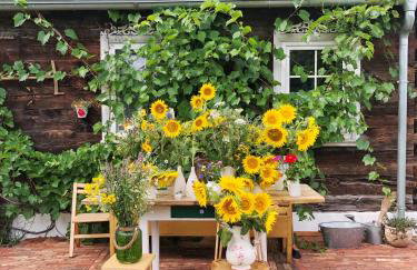 Magiczne Podlasie - Foto 10