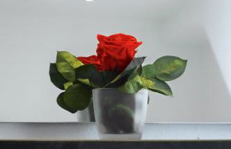 Moseltraum-Fewo mit Klimaanlage-Burgblick und Balkon - Foto 34