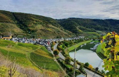 Ferienwohnung an der Mosel, Romeo - Foto 14