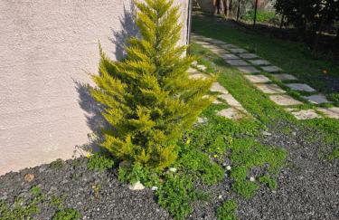 Ilia Sea Side Studios - Foto 29