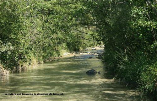 Domaine de bois joli - Foto 61