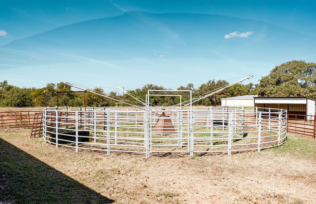 Faulkner Ranch - Foto 24