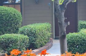 Cozy Comfy and Peaceful Oasis Getaway with Porch - Photo 15