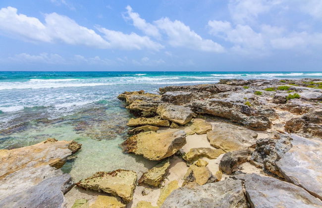 House of Mirrors - Photo 14