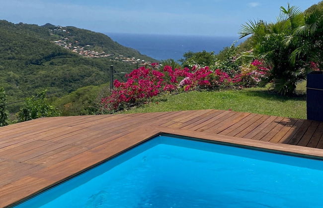 DOMAINE DE MAPOU - Photo 4