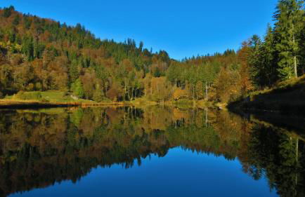 Ferienwohnung 'auf dem Burstel' - Foto 26