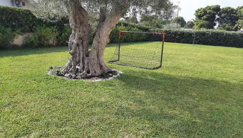 Il Giardino dei Coralli - Foto 4